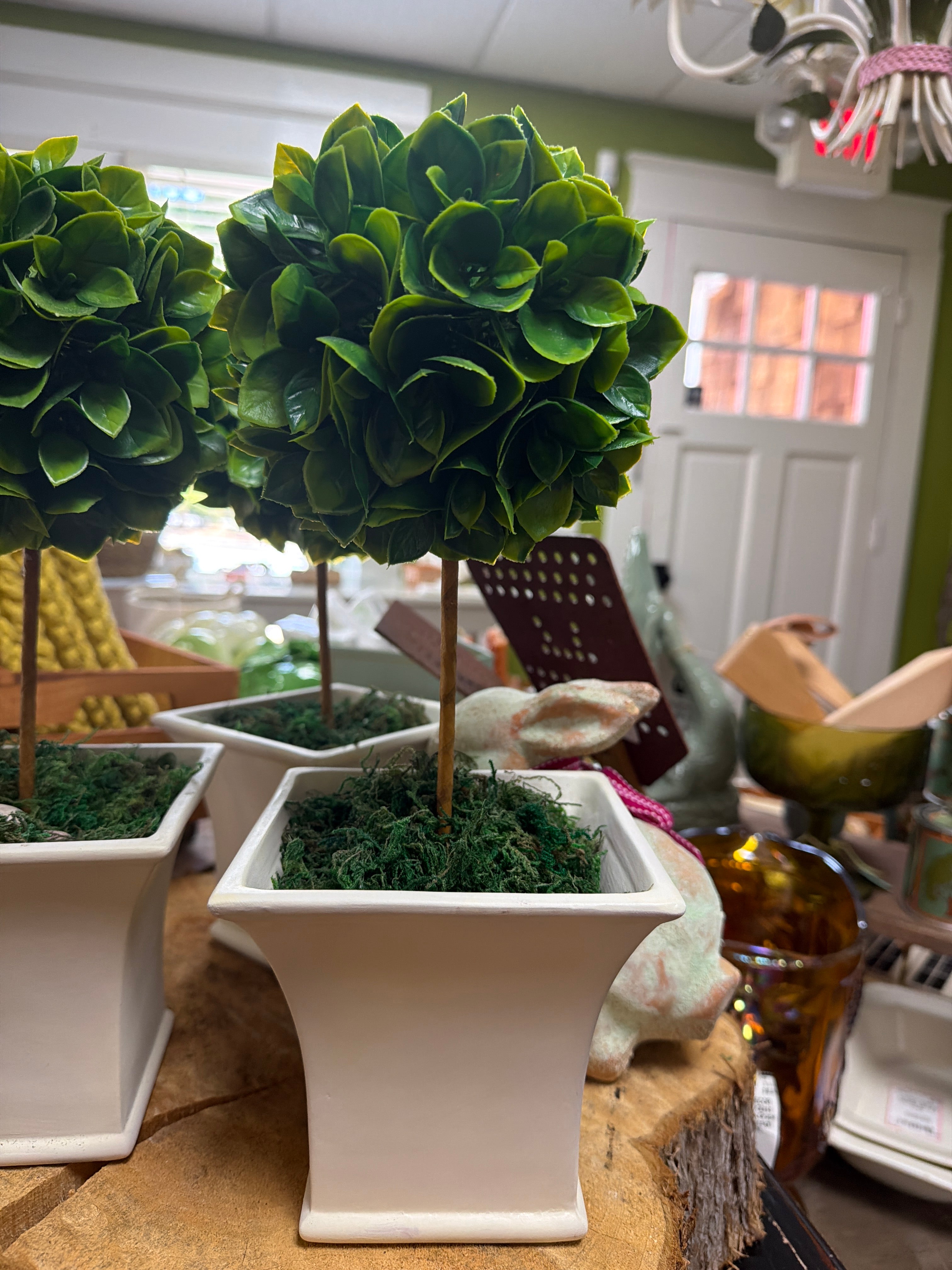 Topiary