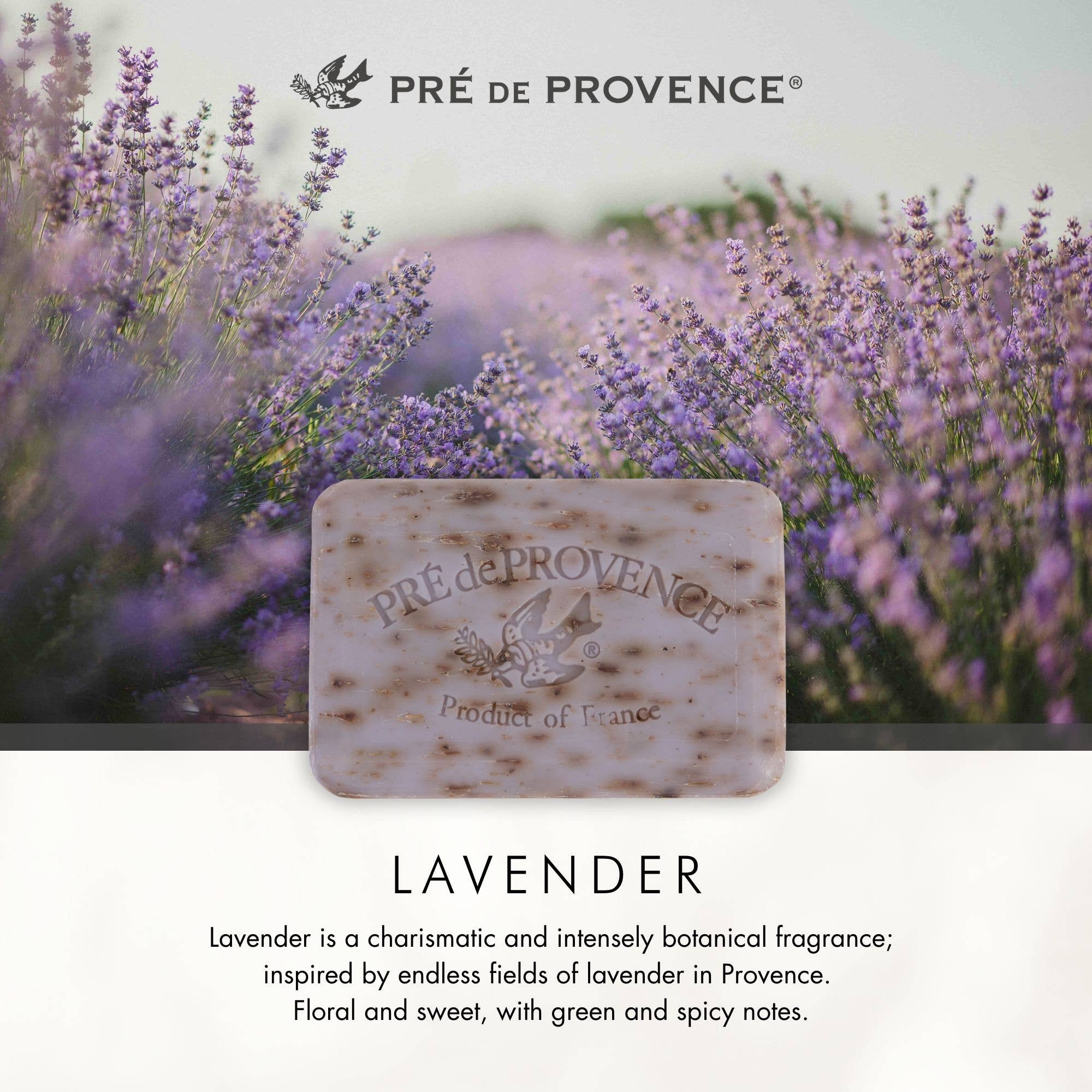 Lavender Soap Bar -  150 g: 150G